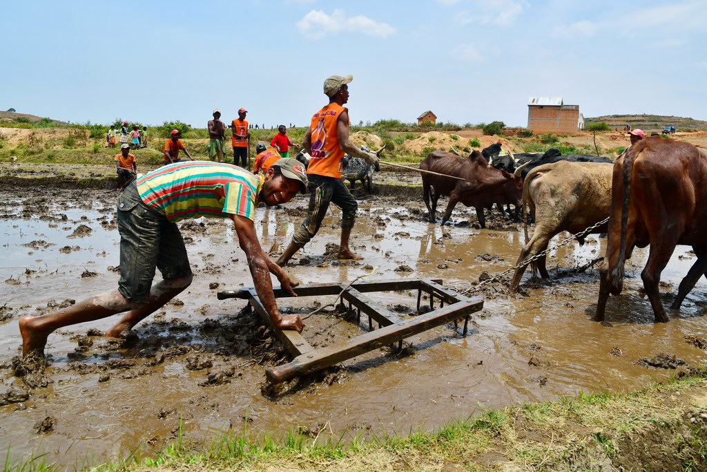 Ambositra Region